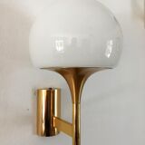 Sciolari wall sconces 1960