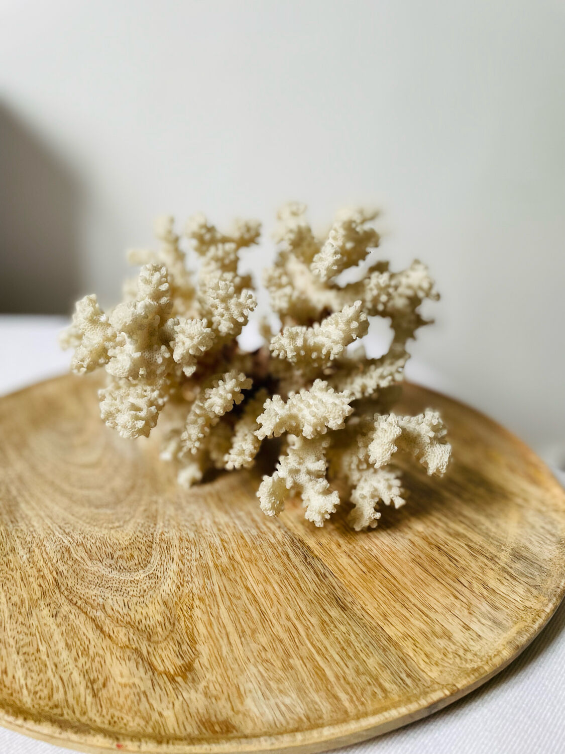 Vintage white coral