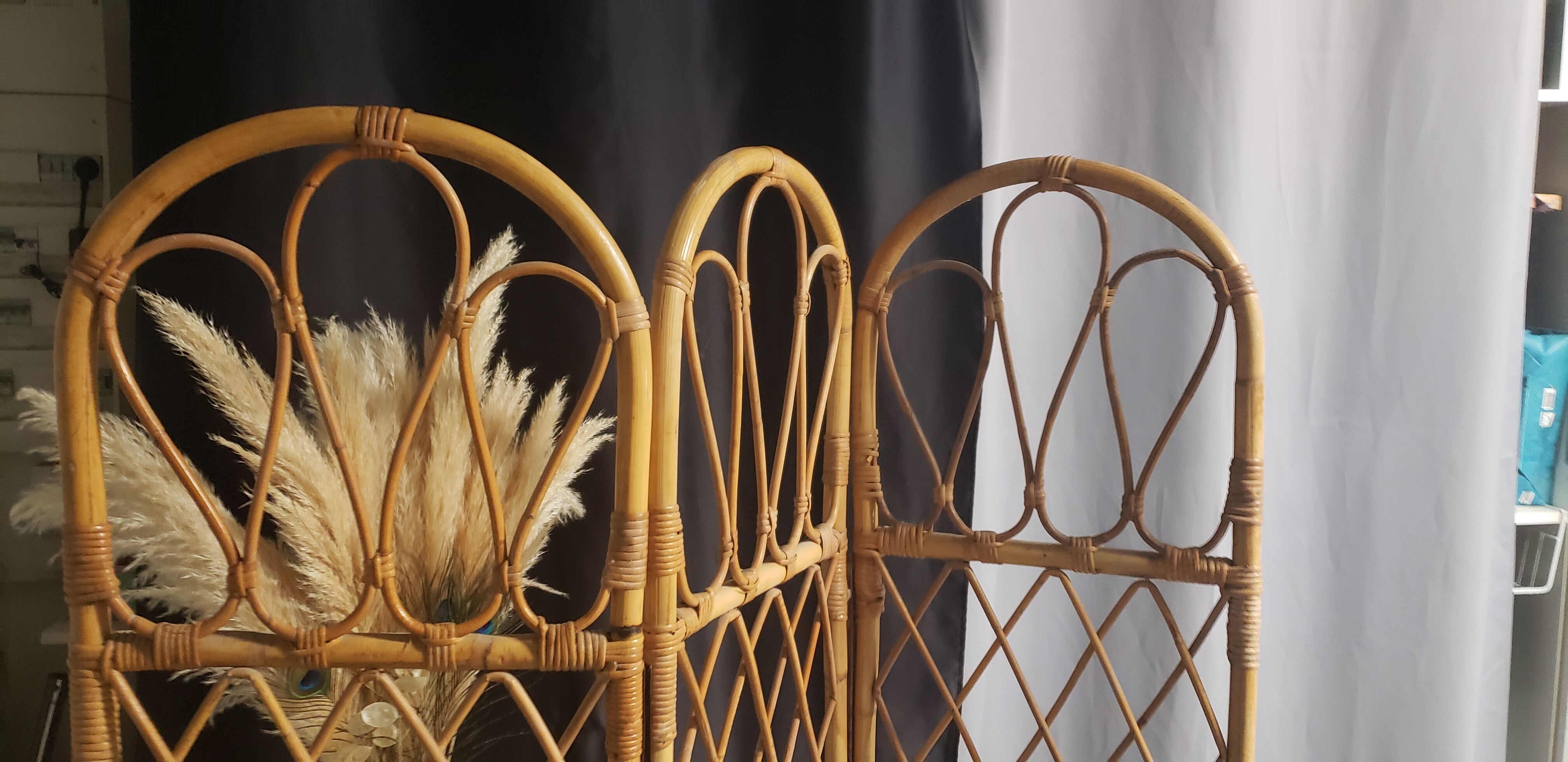 Rattan screen