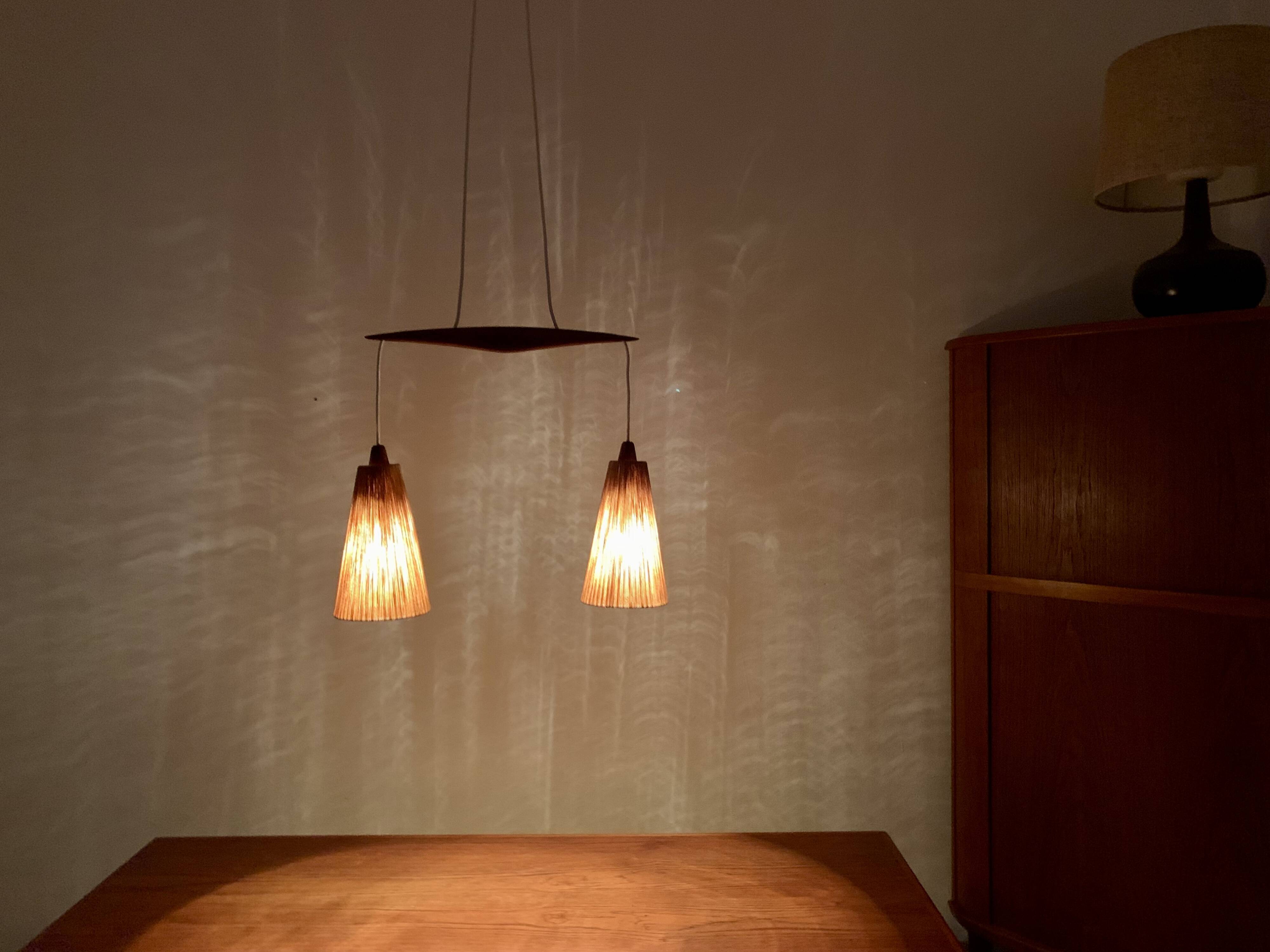 Teakwood and Sisal Pendant Lamp by Temde