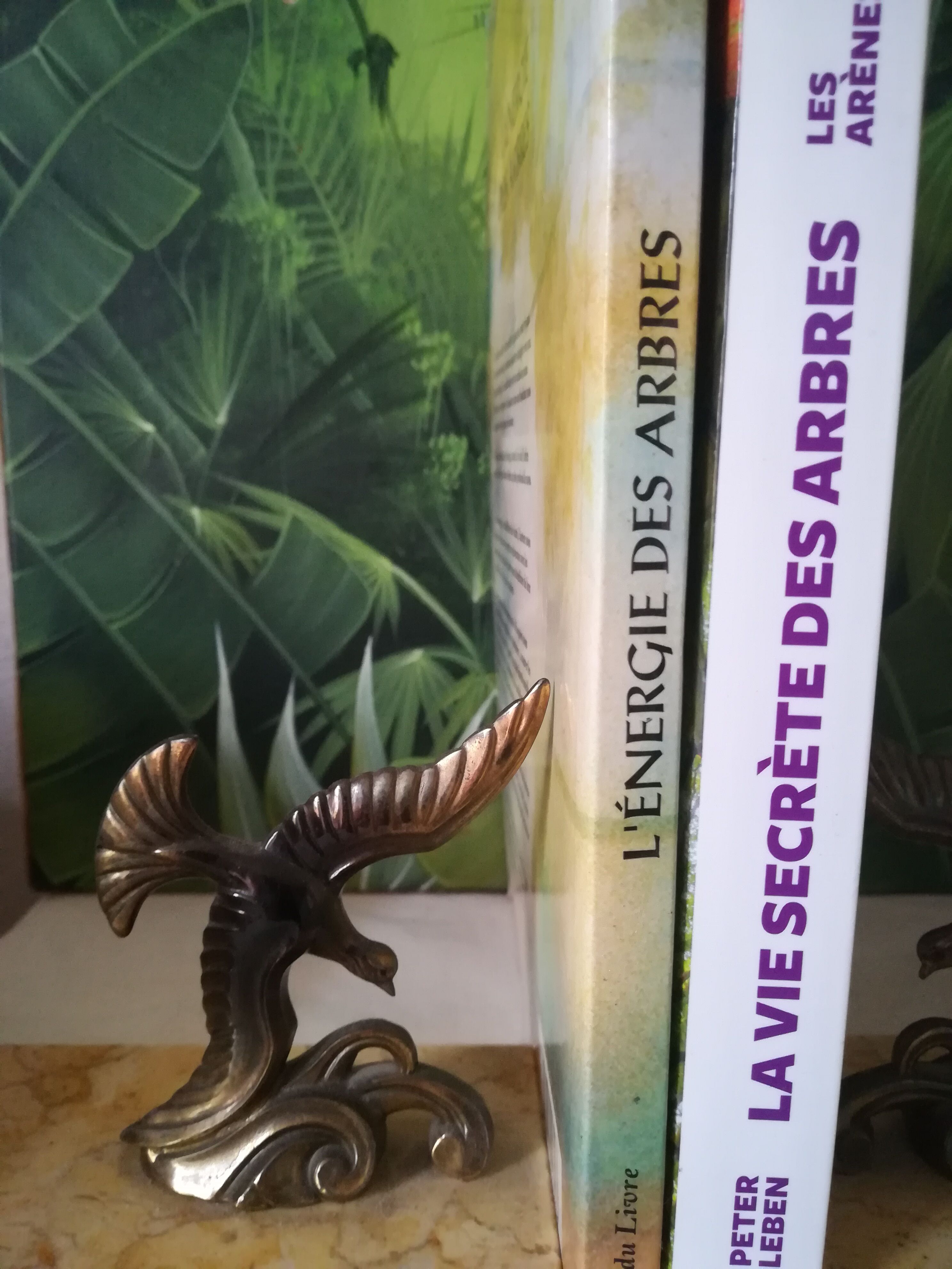 Tight art deco books