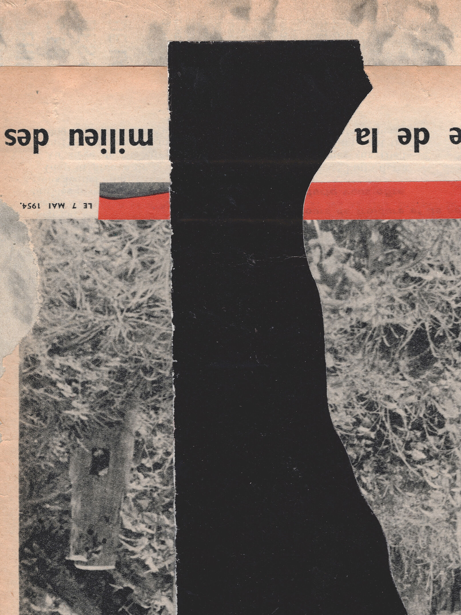 Untitled collage Flamin