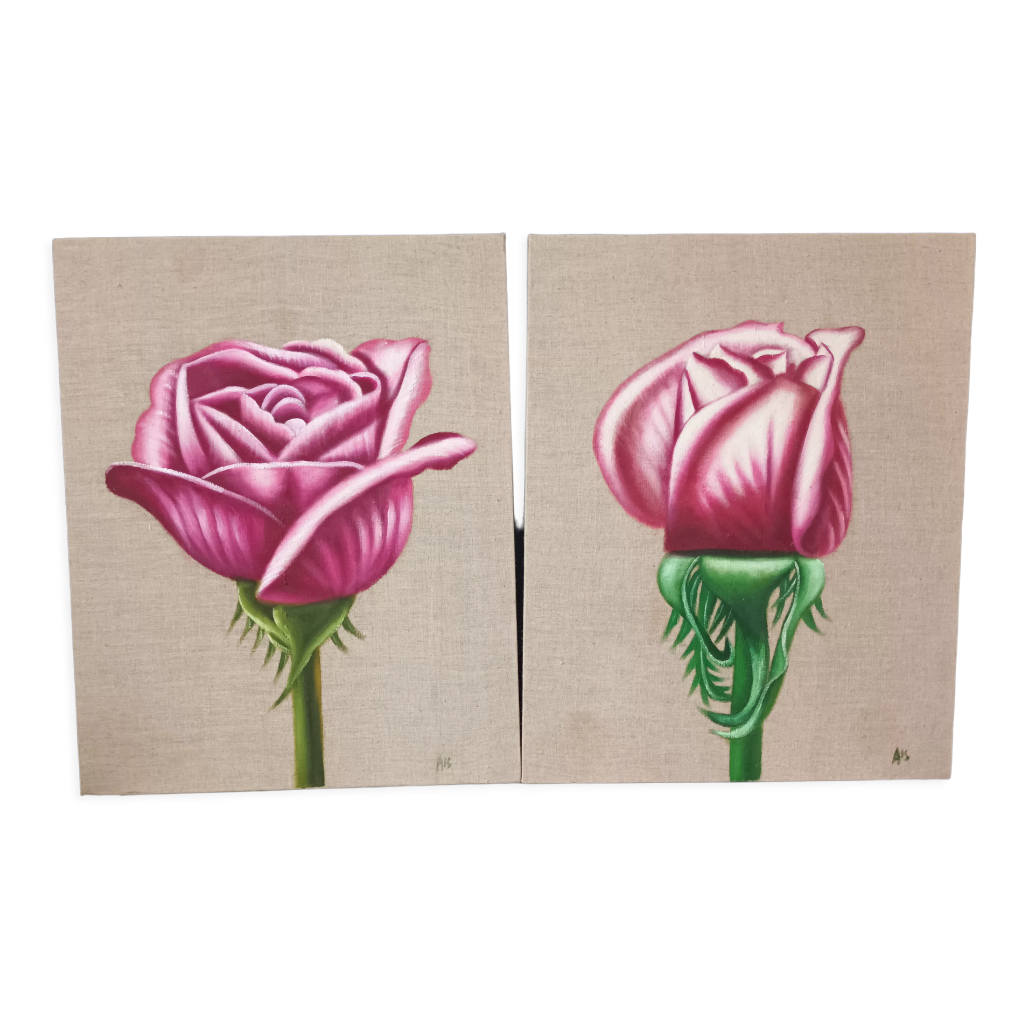 Pair of floral canvas