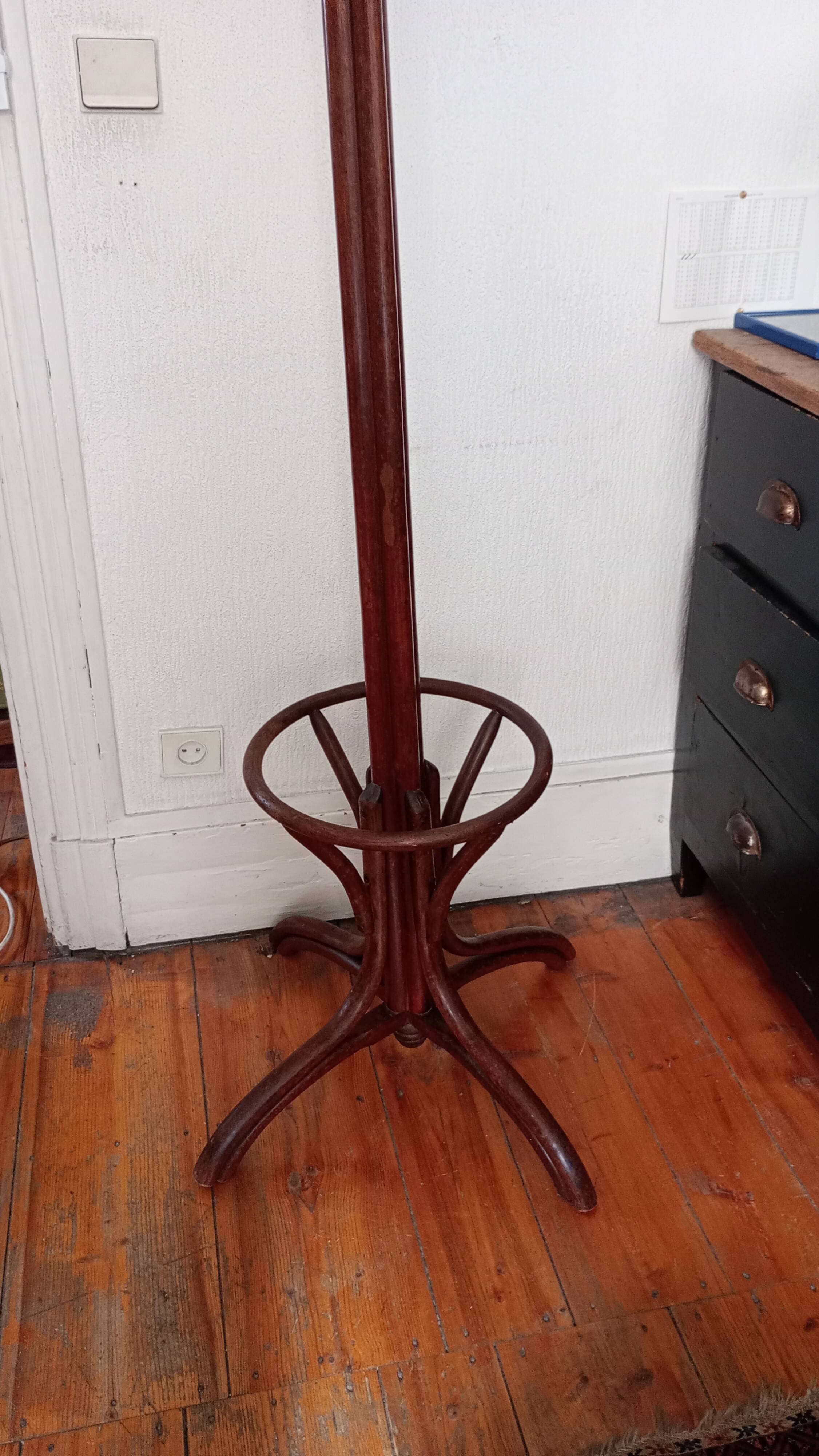 Old parrot coat rack