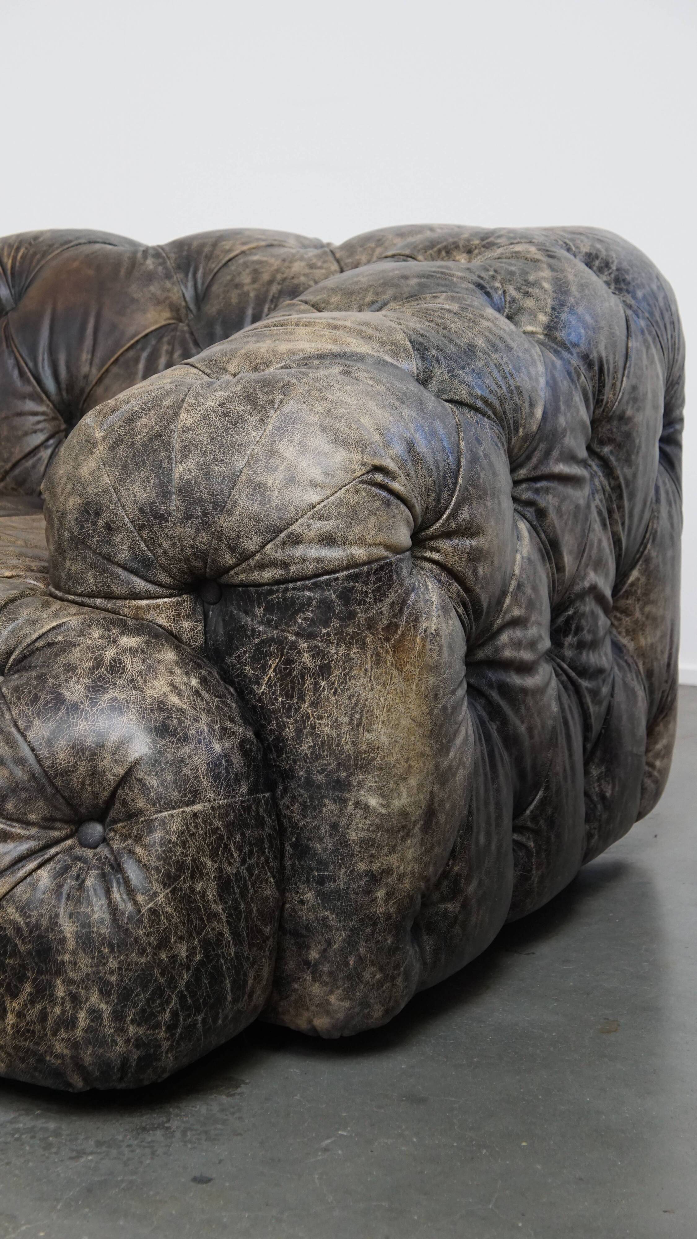 Chesterfield cowhide sofa