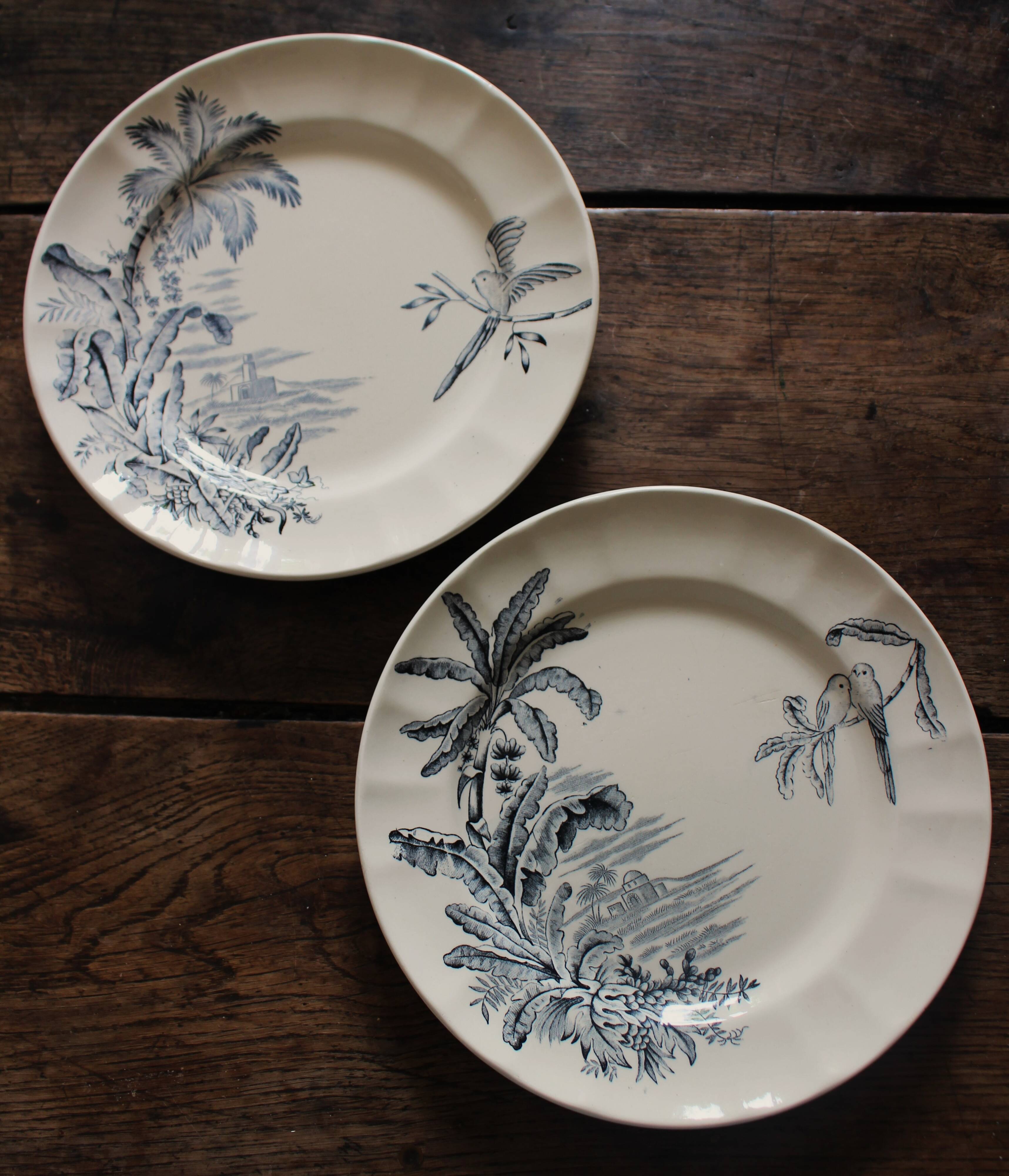 6 Terre de Fer blue Marcel Alésia Exotic Longchamp plates