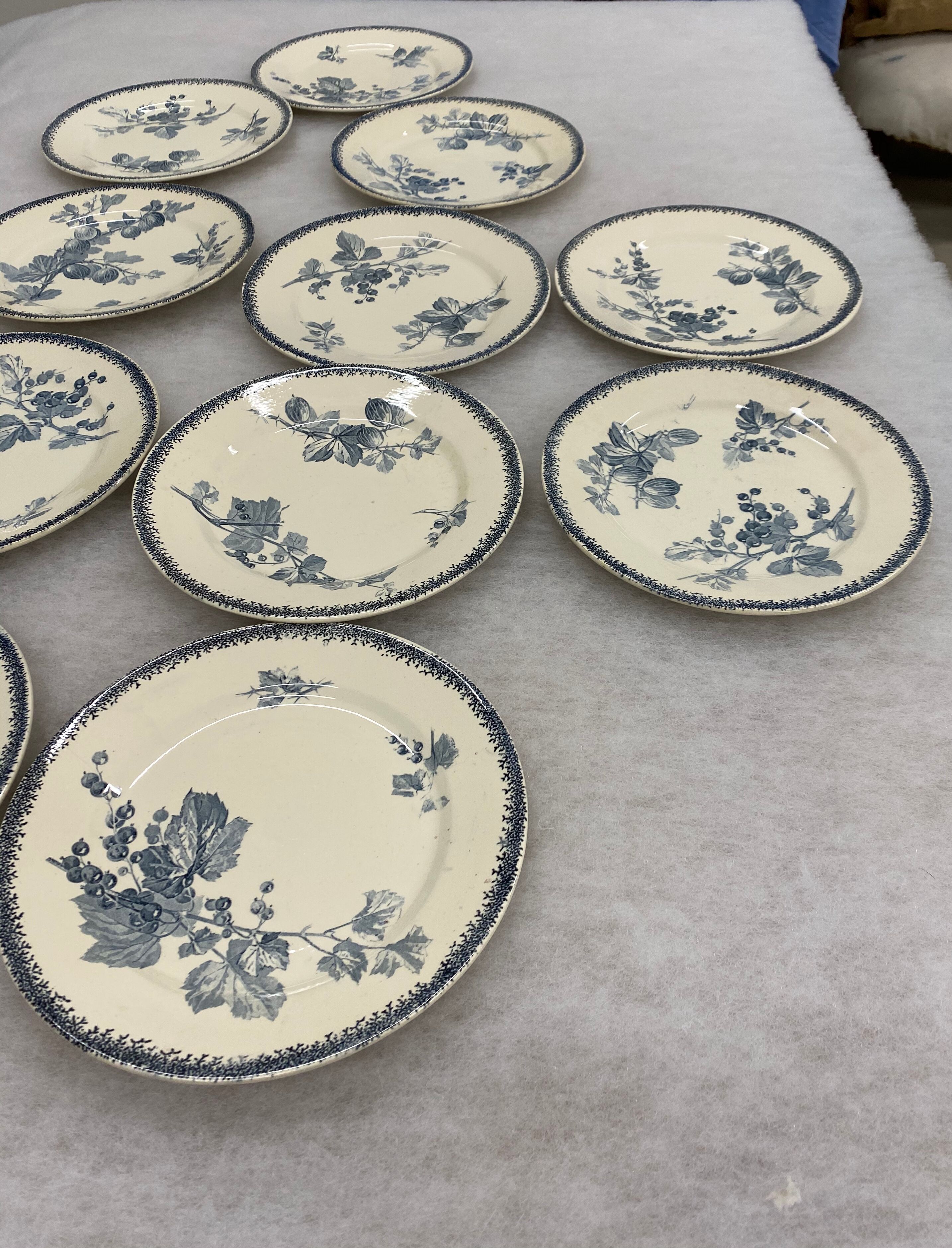 Lit de 11 assiettes à dessert Groseilles de Sarreguemines