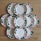 12 flat plates Villeroy and Boch Wild Rose