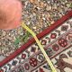 Anatolian Carpet Hand-Knotted Wool Turkey 200x170 Antique Vintage Oriental Red