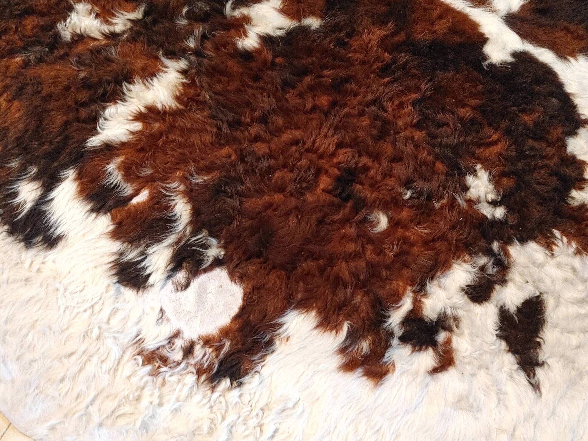 Rug, Large cowhide with fairly long hair - Vintage 70's Tannerie Barjols