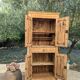 Armoire homme debout