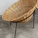 Paire de fauteuils édition originale C8 par Terence Coran pour 1954