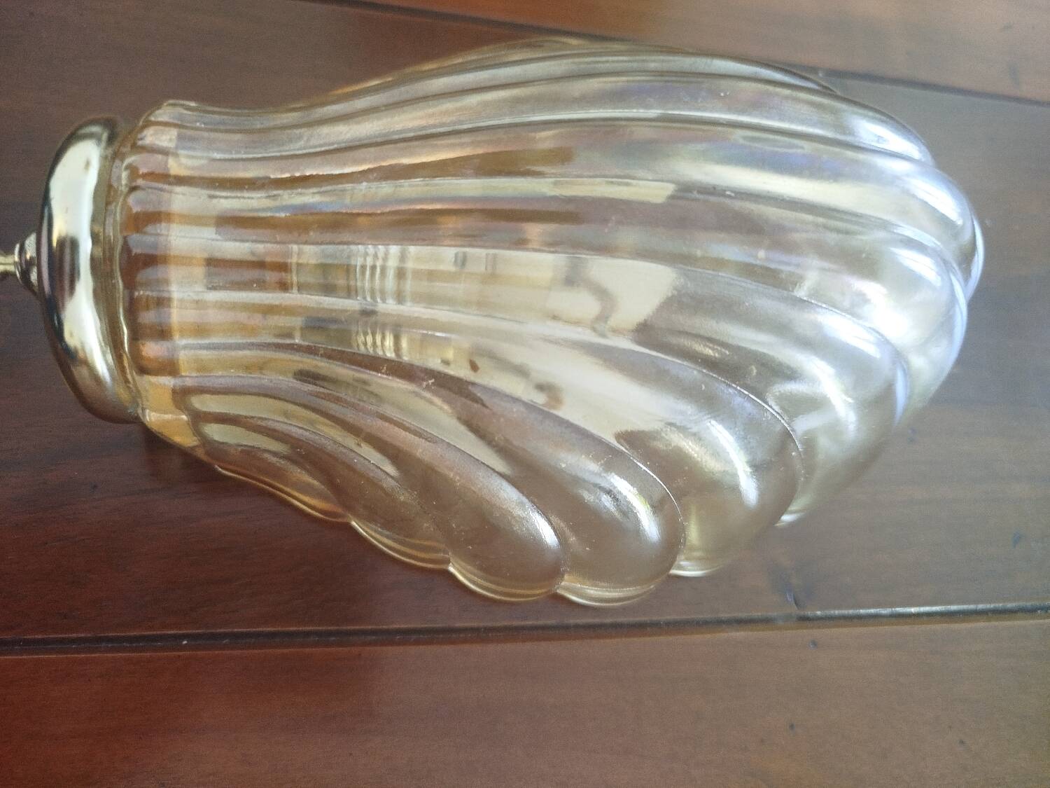 Pair of shell wall sconces – striped Italian glass – 1970