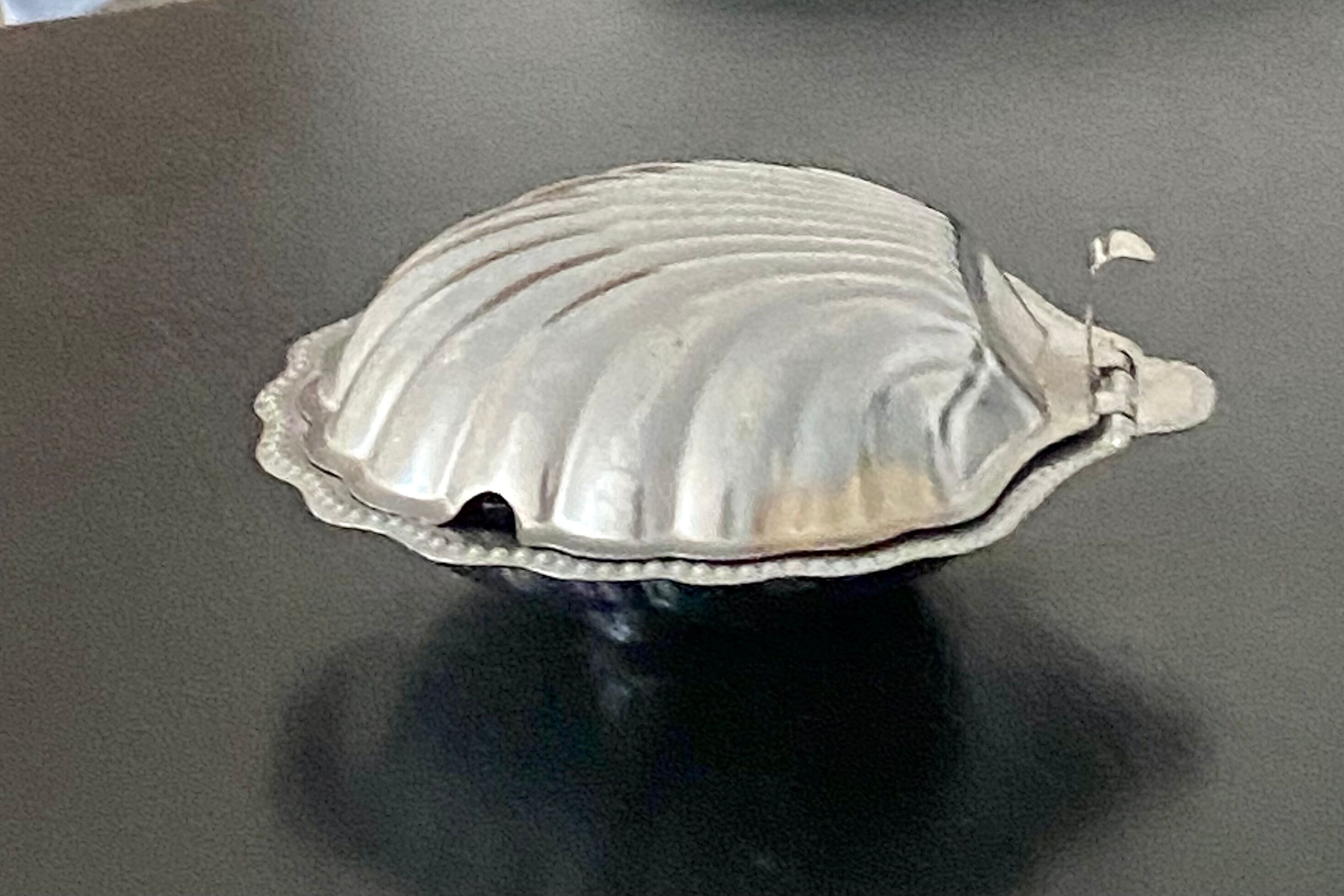 Stainless steel shell butter dish