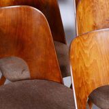 Set of Six Restored Mid-Century Modern Chairs, Beech, Czechia, 1950-1959