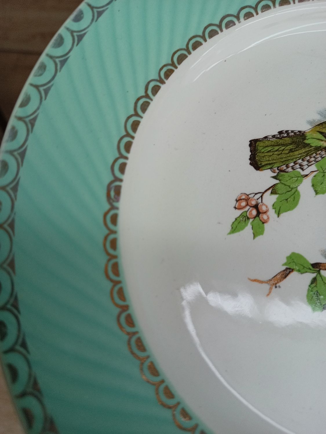 Lot 1 large oval dish and 3 bird plates Green background