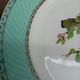 Lot 1 large oval dish and 3 bird plates Green background