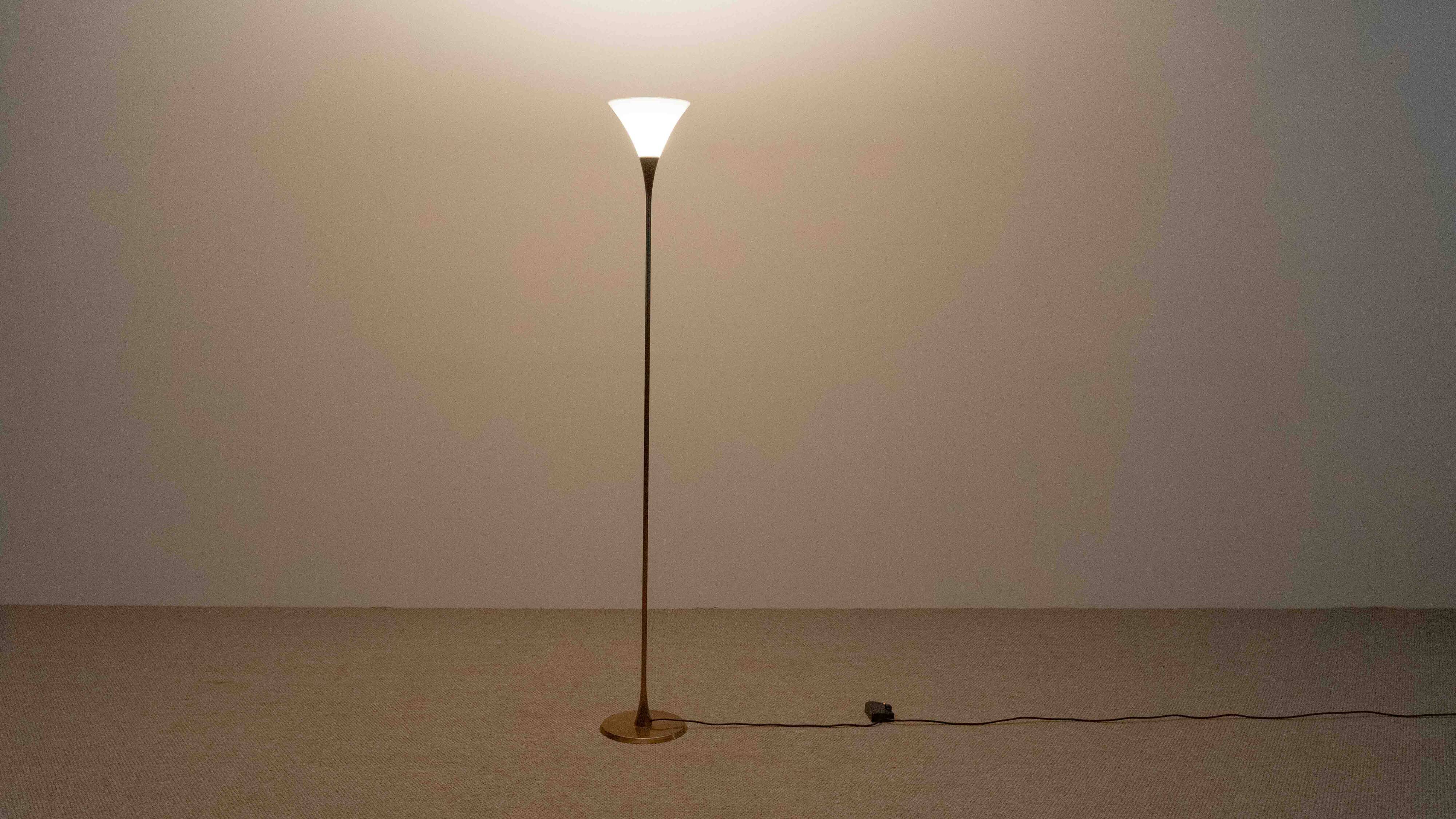 Lonea Floorlamp in brass by Florian Schulz