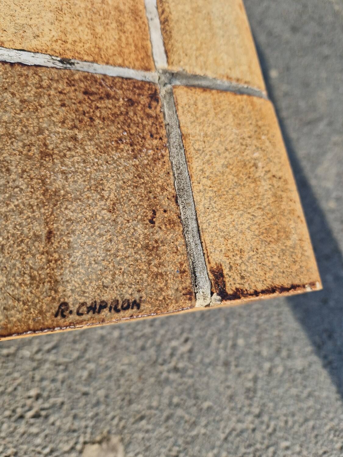 Vintage coffee table by Roger Capron, herbarium model