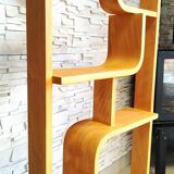 Plant Stand by Ludvik Volak for Drevopodnik Holesov, Set of 2