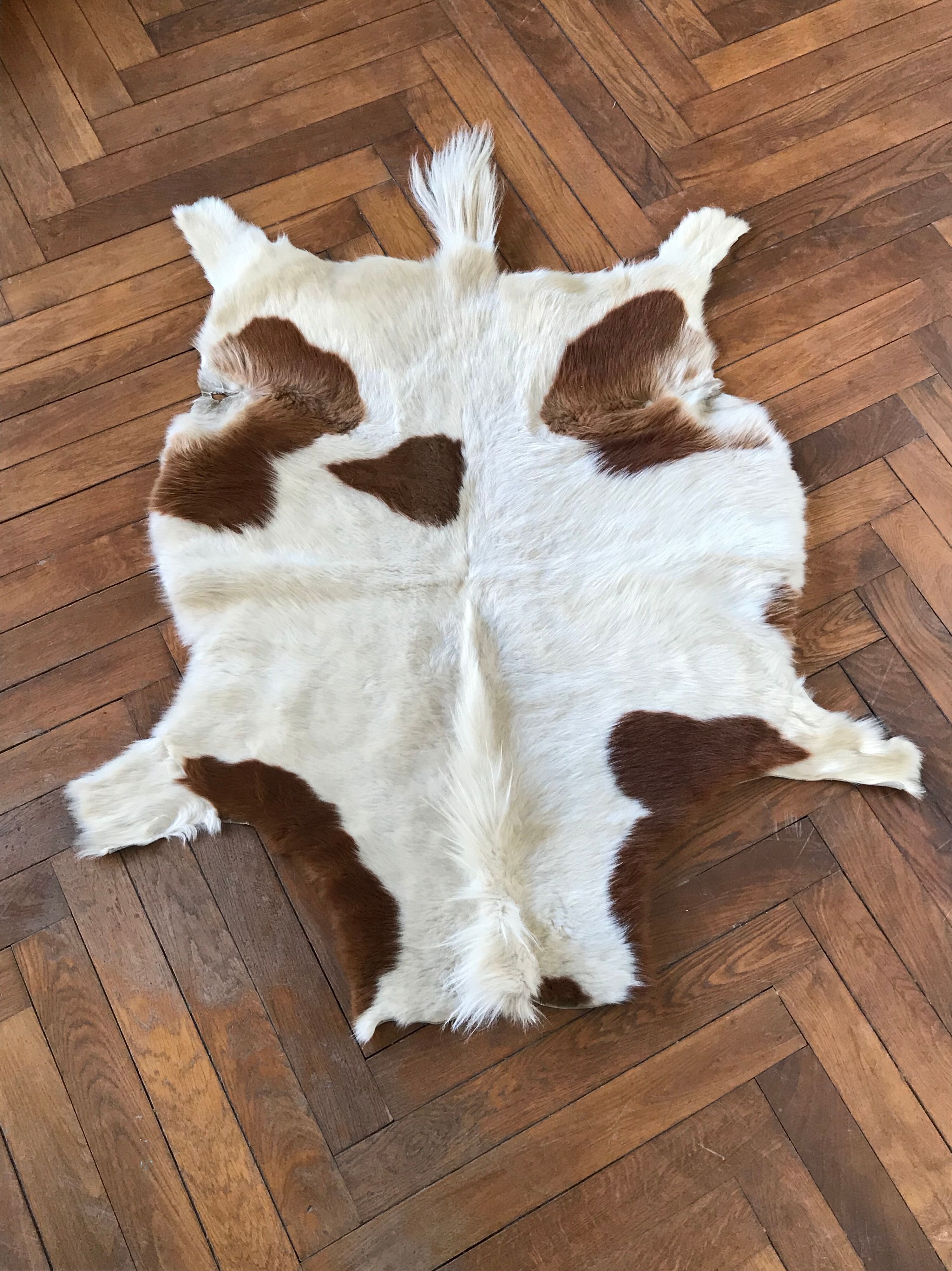 Pony skin 110x160cm