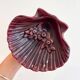 Ceramic shell soap dish or empty pocket