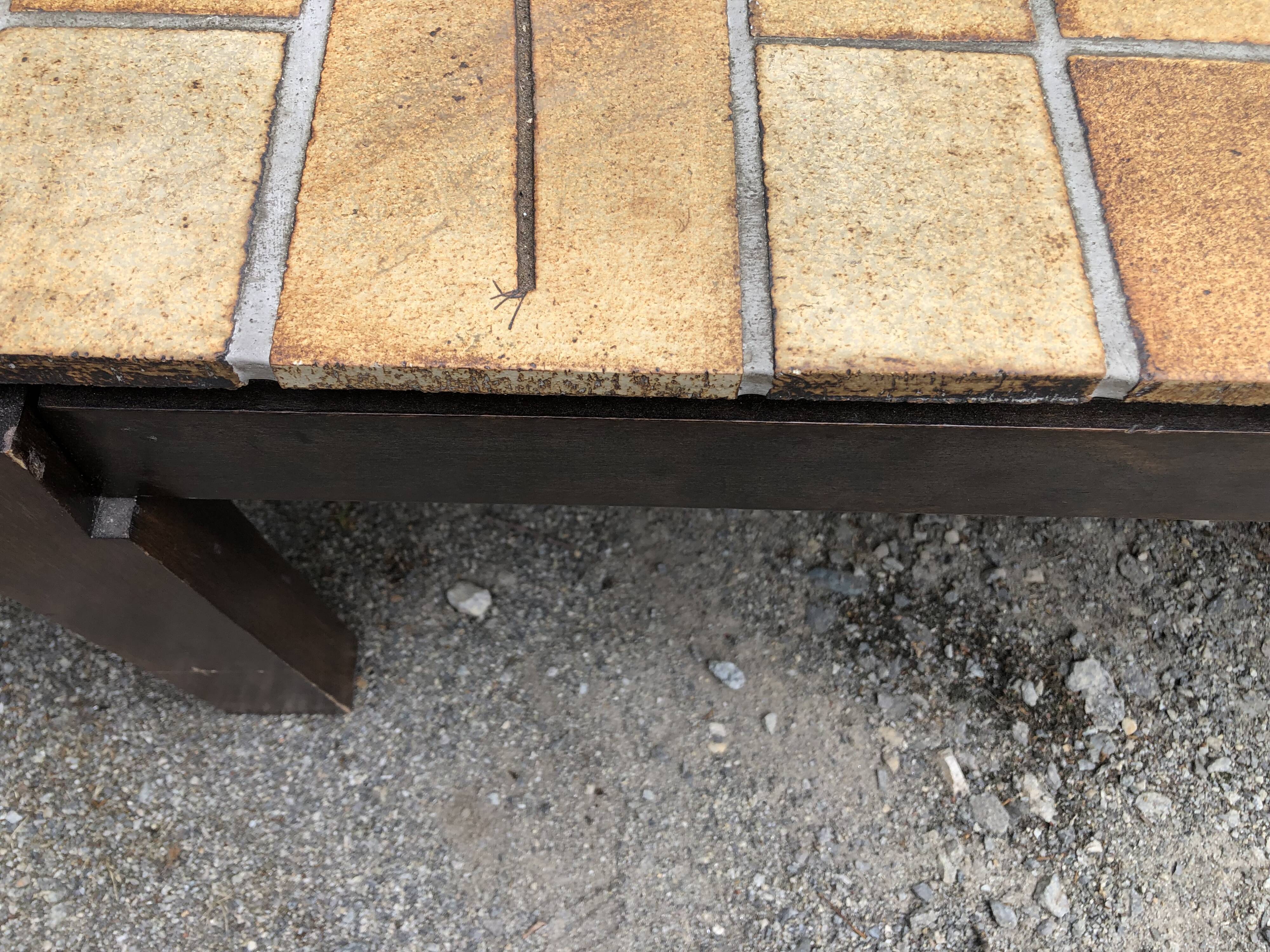 Vintage ceramic coffee table with herbarium decorations by Roger Capron, solid beech base.