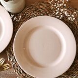 Digoin Sarreguemines Pink plate