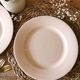 Assiette Digoin Sarreguemines Rose