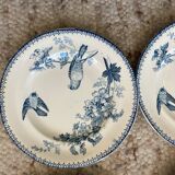 Old “tit” model plates