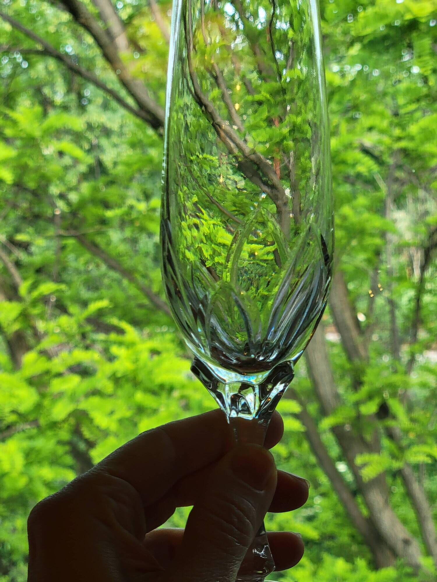 10 crystal champagne flutes 24% Cristallerie Kaspar Lemberg Lorraine vintage