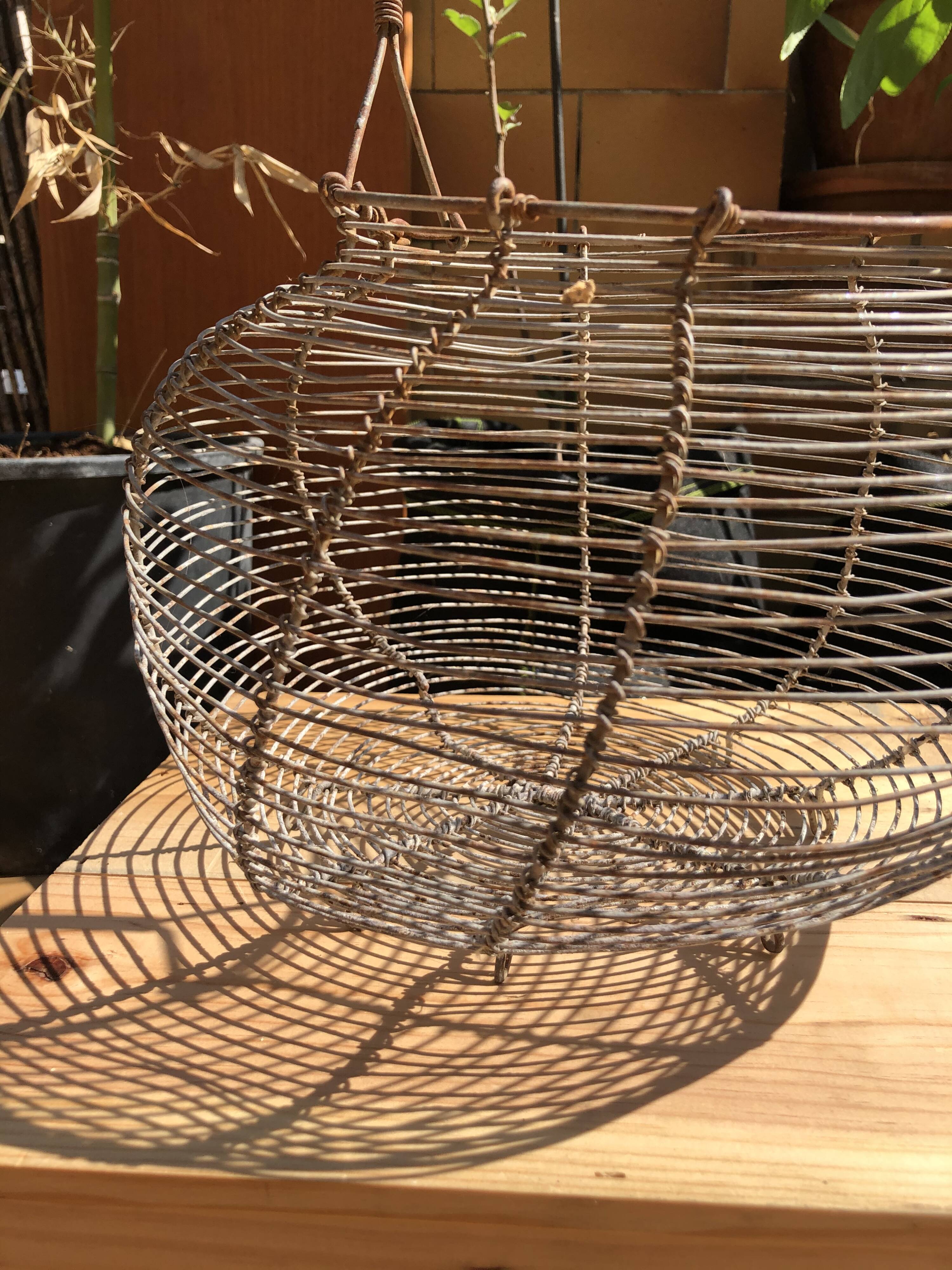Old egg basket in metal shape round metal handle