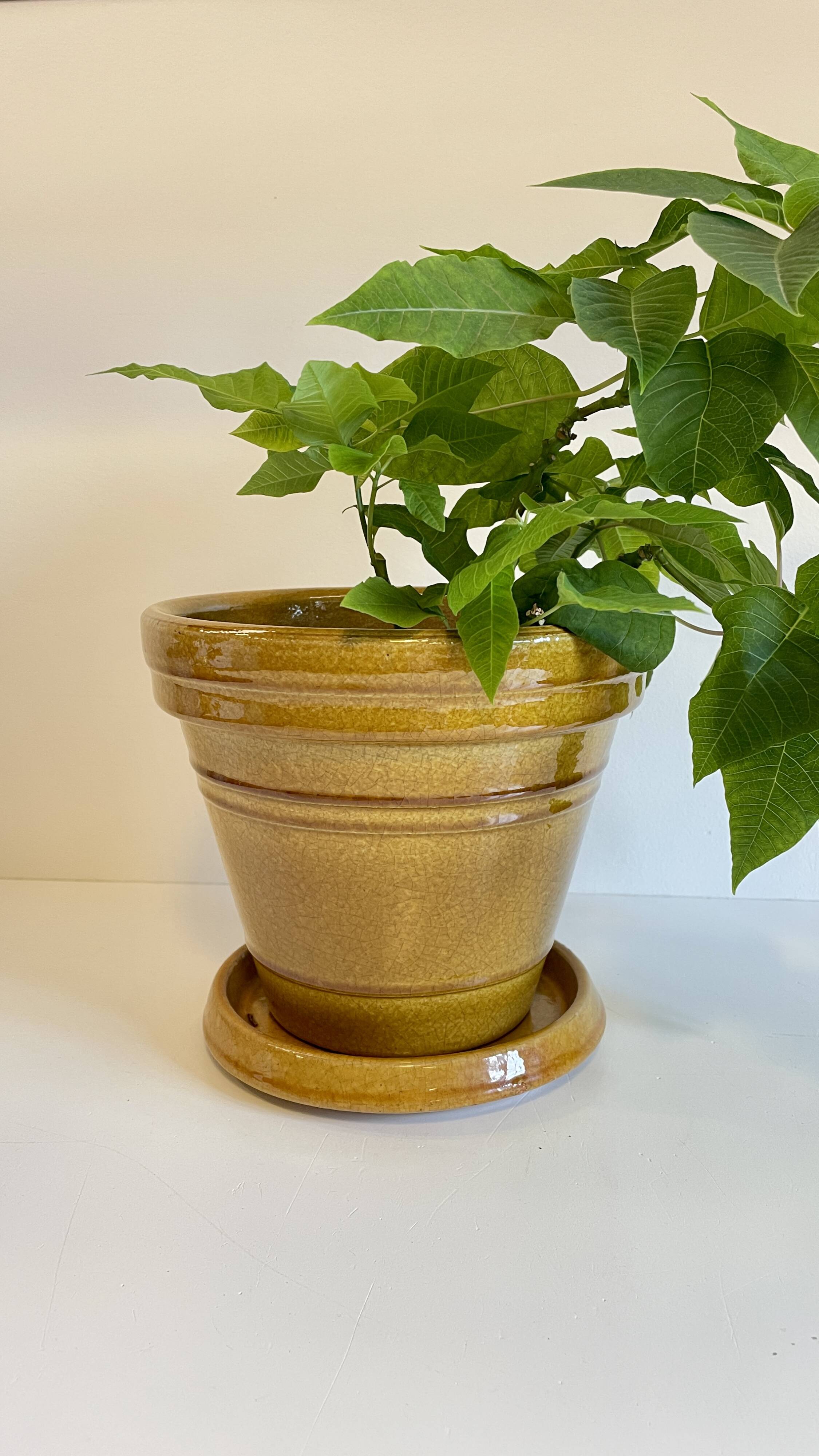 POT with Hole Pottery CLAROUS France