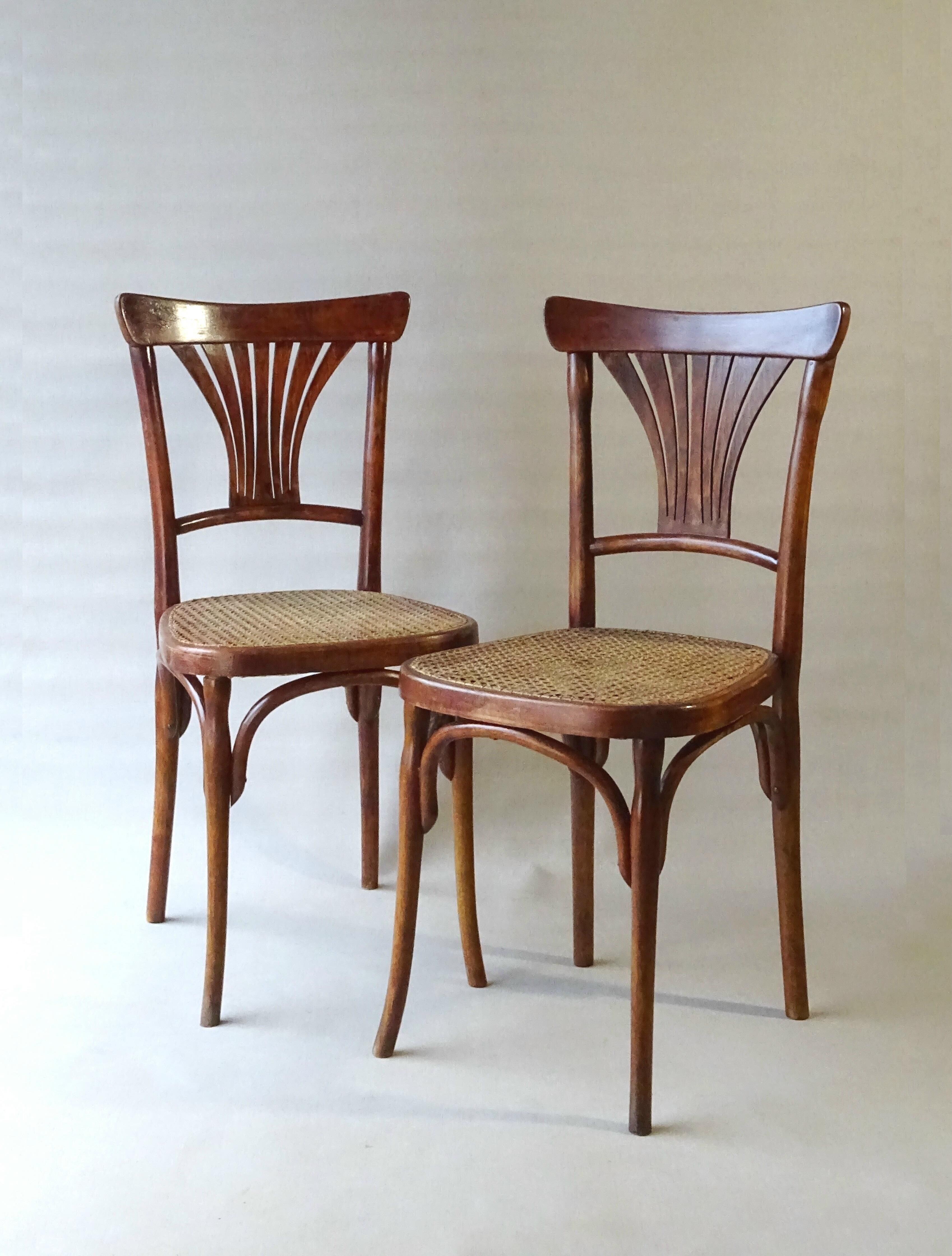 Two bistro chairs kohn n°196 in palmette, circa 1906, tanned