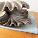 Brutalist wood shell sculpture box 1900