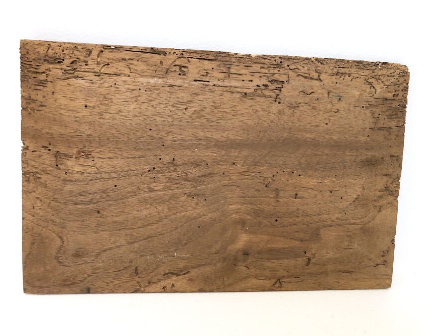 Oil on panel Impresionism, LATE NINETEENTH