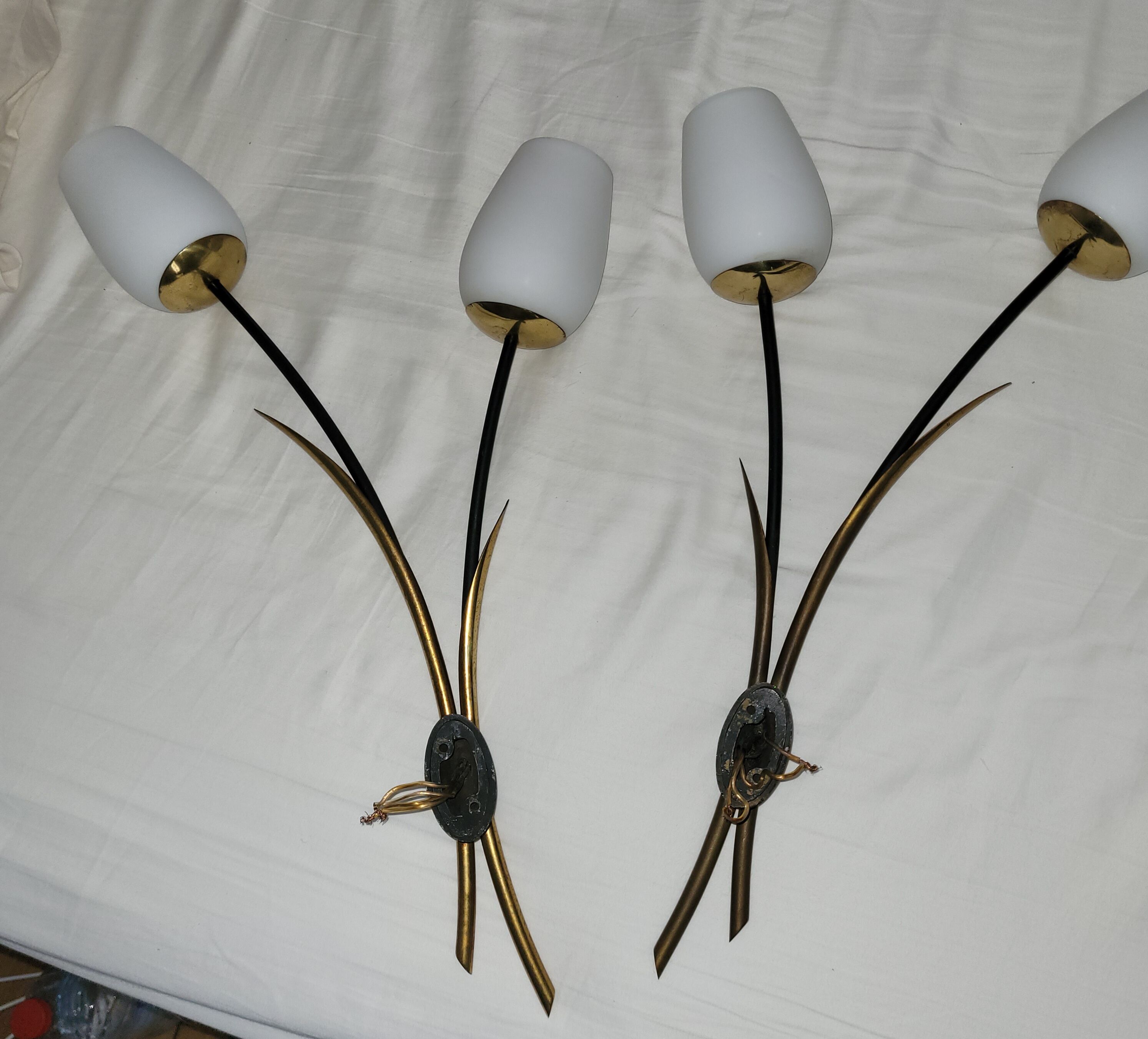 Paire appliques vintage Lunel roseaux 1960