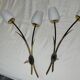 Paire appliques vintage Lunel roseaux 1960