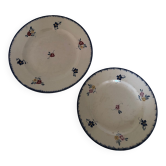 2 digoxin Sarguemines plates Marylou model