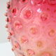 Vintage vase bubble glass 1960