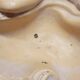 Empty plaster pocket sleeping woman art nouveau signed Carlo Conte