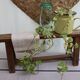 Wooden bench