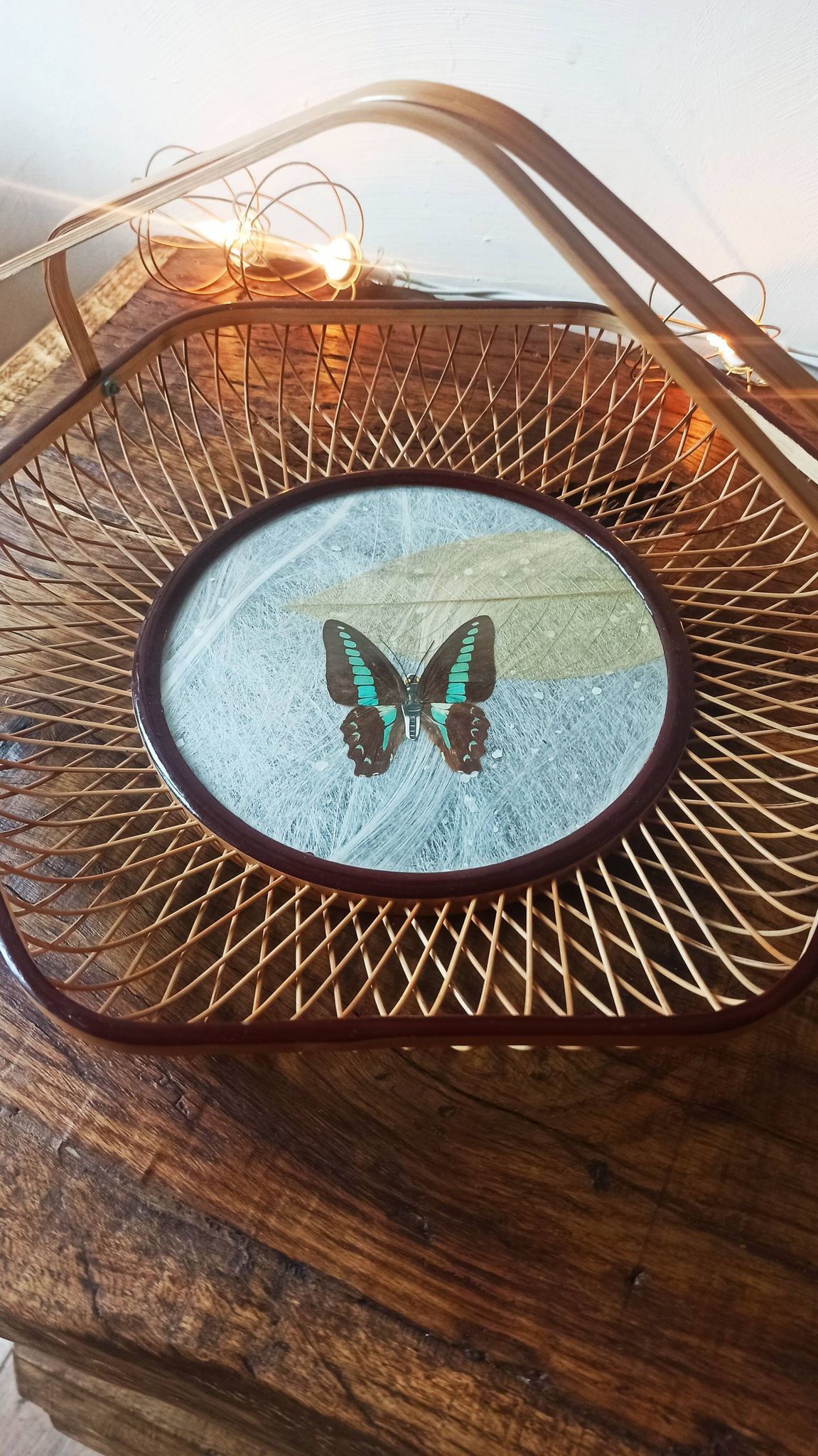 Corbeille/ plateau/ vide poche en rotin avec papillon de collection