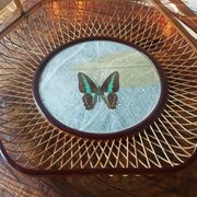 Corbeille/ plateau/ vide poche en rotin avec papillon de collection