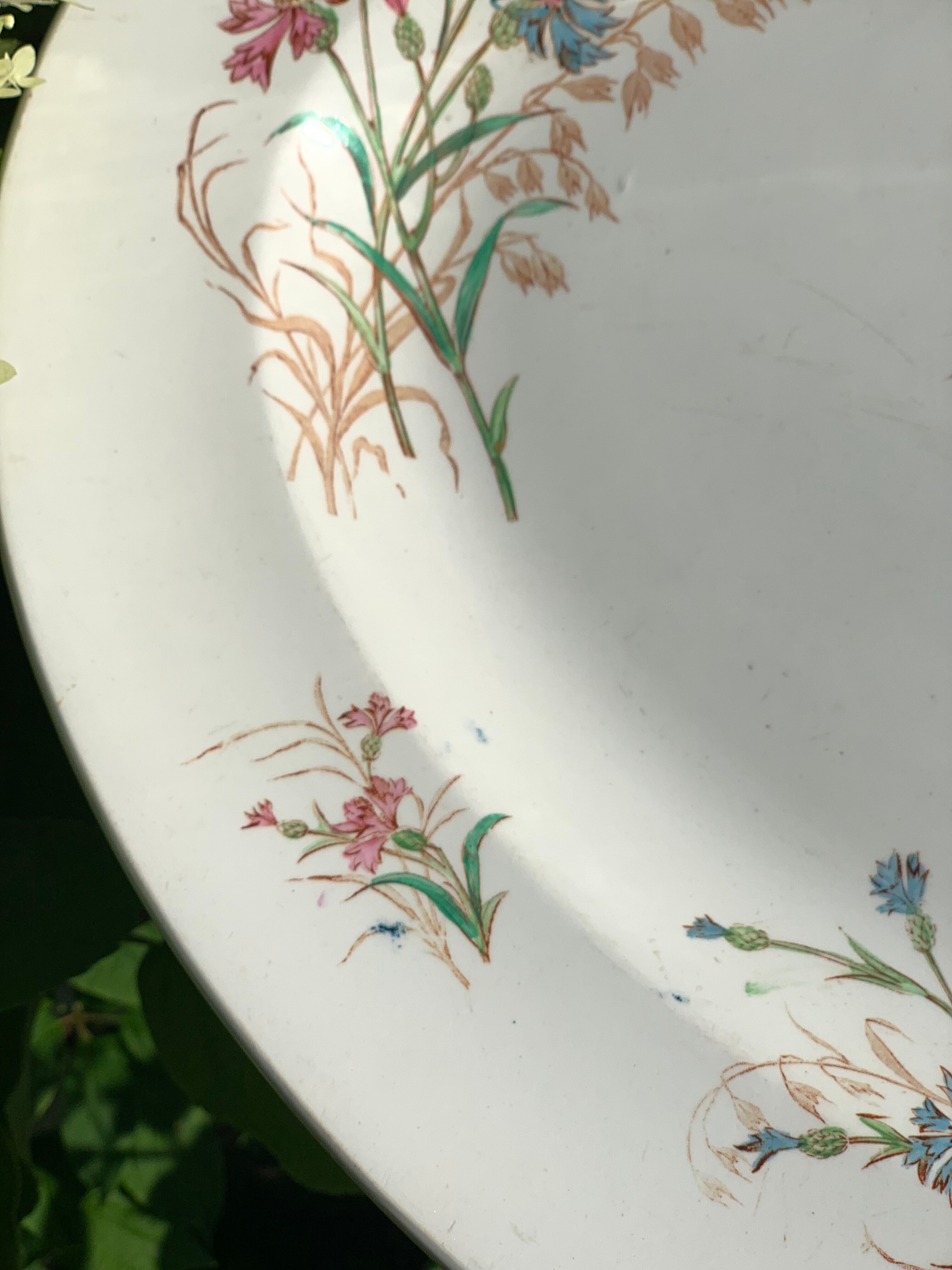 Old dish, earthenware, blueberry service Keller and Guérin Lunéville, Terre de Fer