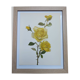Vintage Botanical Print from 1968 - Golden Rapture - Rose Floral Illustration