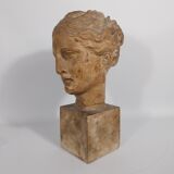 Plaster bust
