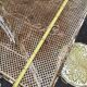 Garden lounge iron perforated iron old