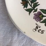 Gien cheese plates