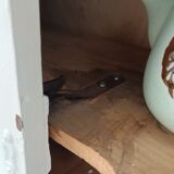 White Parisian buffet